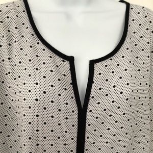 41 Hawthorn Career Dot Blouse